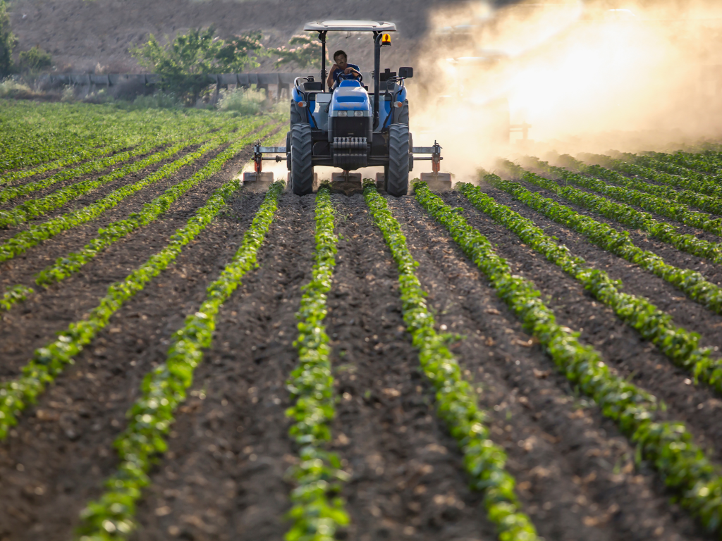Agriculture & Horticulture