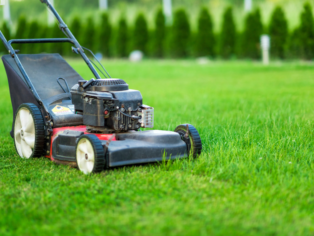 Landscaping & Lawns